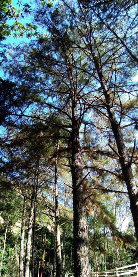 Willa Nosso Sitio - Rancho Santa Clara Itaipava Petrópolis Zewnętrze zdjęcie