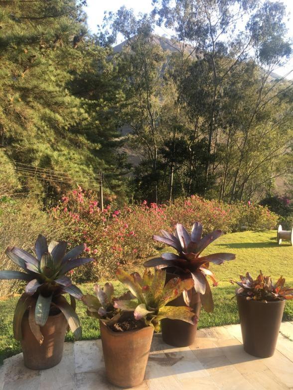 Willa Nosso Sitio - Rancho Santa Clara Itaipava Petrópolis Zewnętrze zdjęcie
